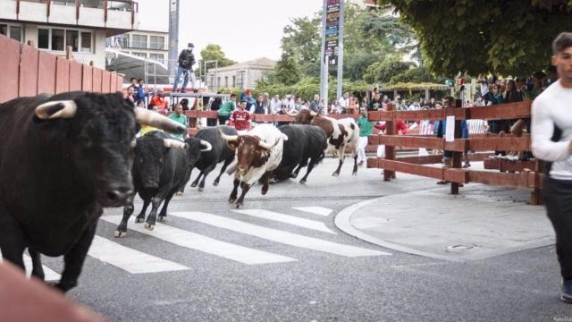 Un encierro en la ciudad de Guadalajara (Ayto. Guadalajara)