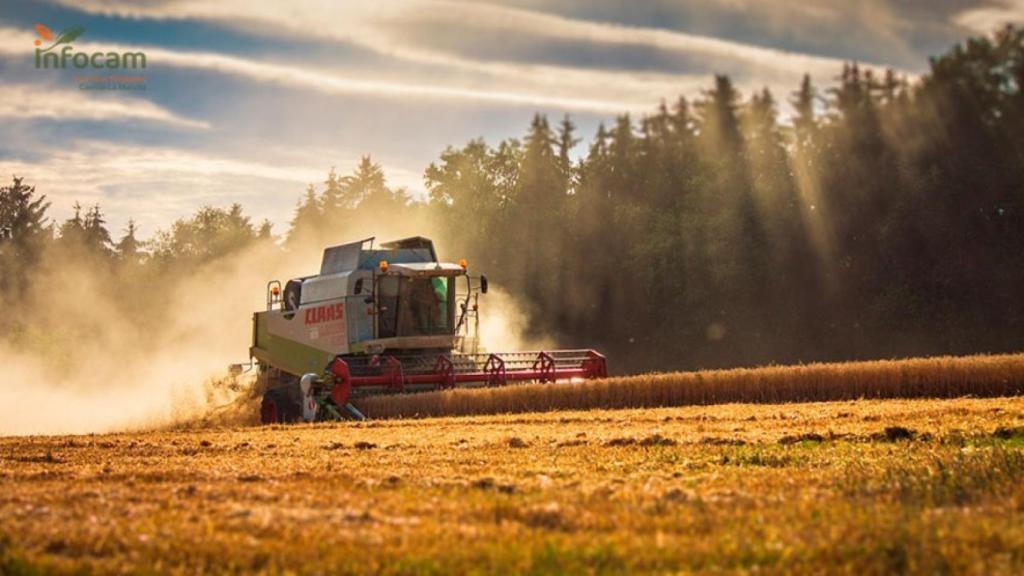 Hay que extremar las precauciones en el medio natural para evitar que los incendios afecten a la masa forestal