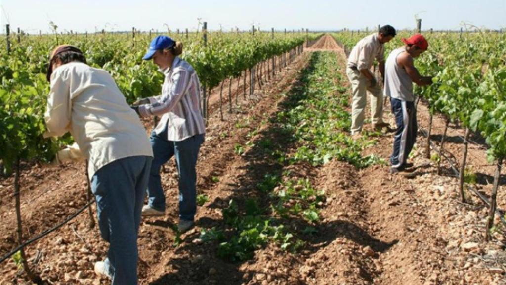 Los países de la UE aprueban una histórica reforma de la PAC