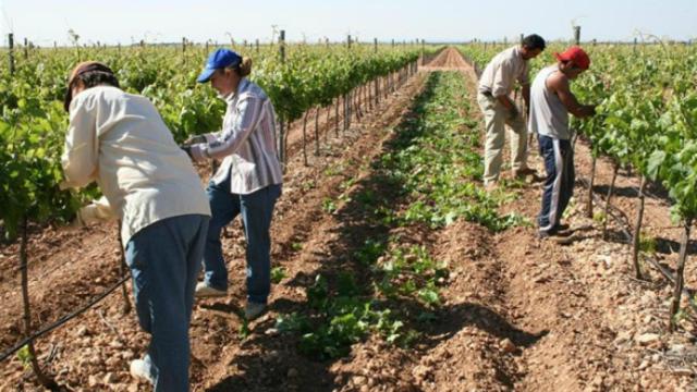 Los países de la UE aprueban una histórica reforma de la PAC