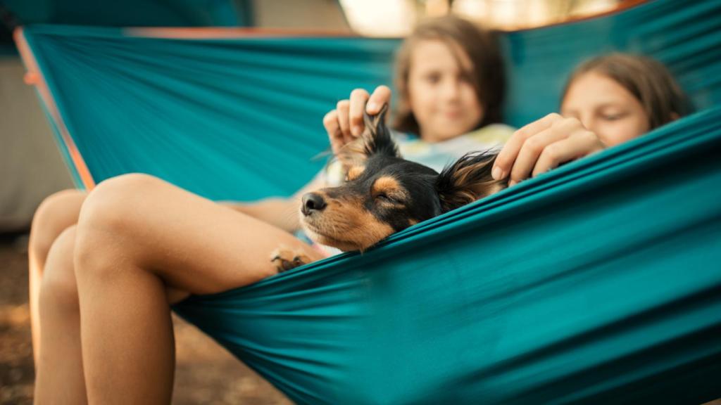 Hamacas para camping: estas son las 5 mejores de Amazon