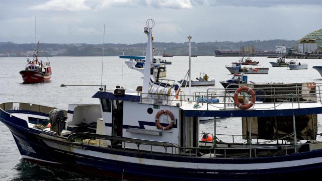 Varios barcos de flota artesanal en la dársena de La Marina en A Coruña.