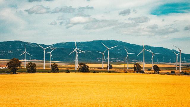 Aerogeneradores de energía eléctrica.