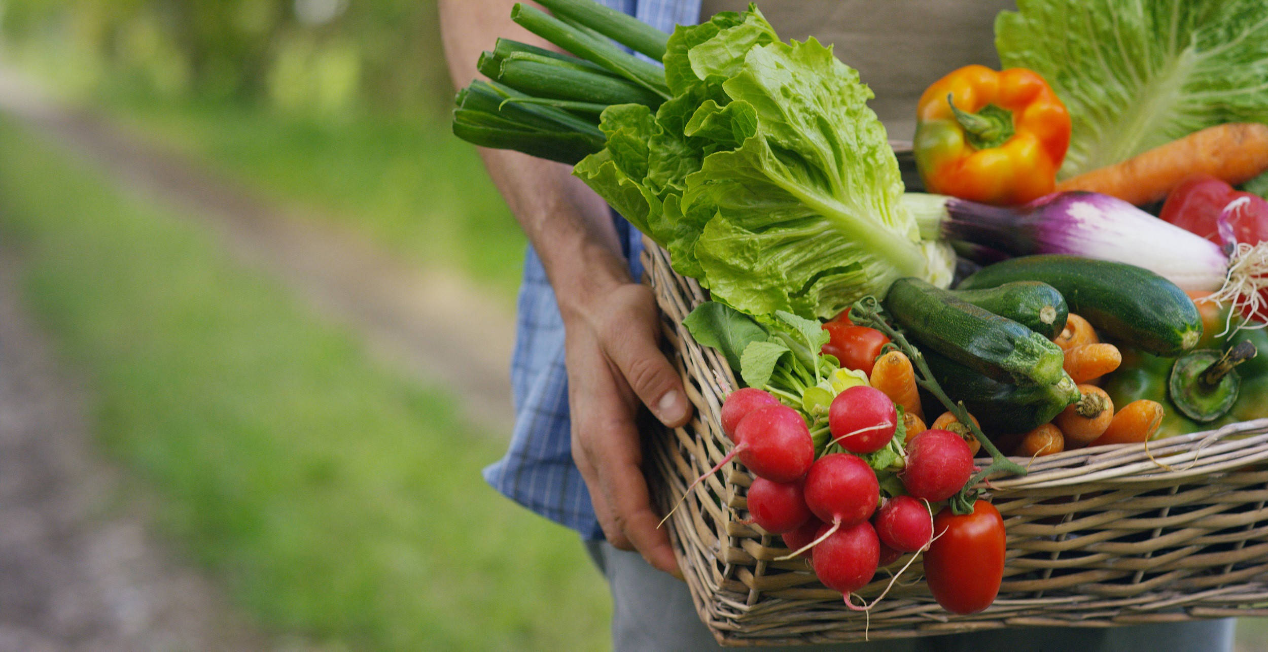Productos de agricultura ecológica. Foto:Shutterstock