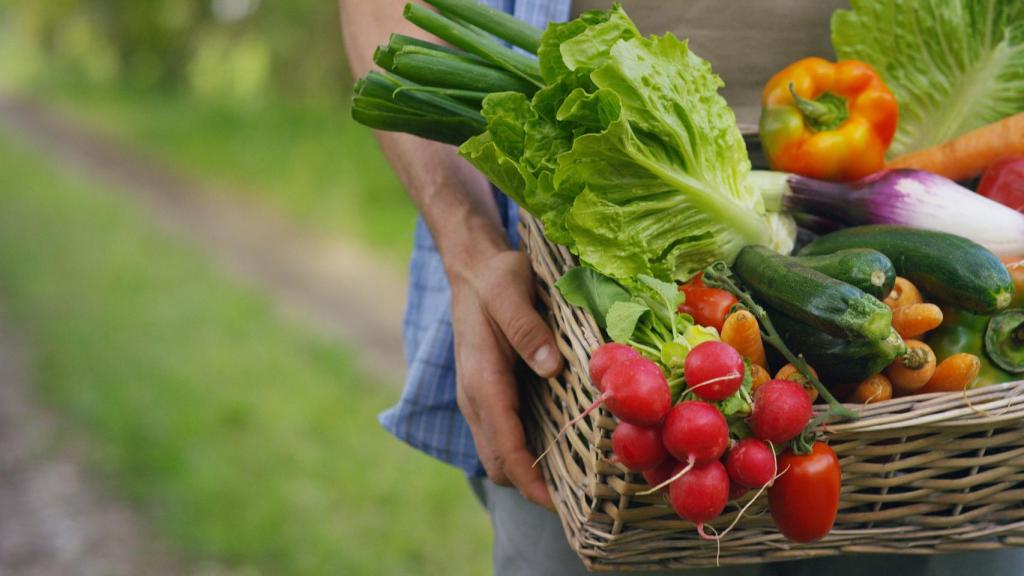 Productos de agricultura ecológica.