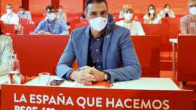 Pedro Sánchez, en el Comité Federal del PSOE celebrado este domingo.