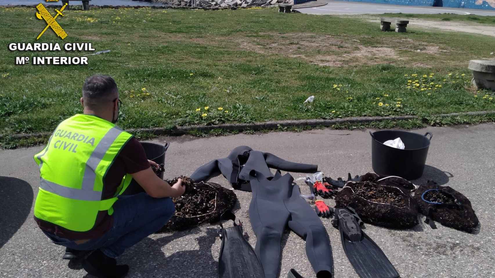 La Guardia Civil desarticula un grupo dedicado al furtivismo de marisco.