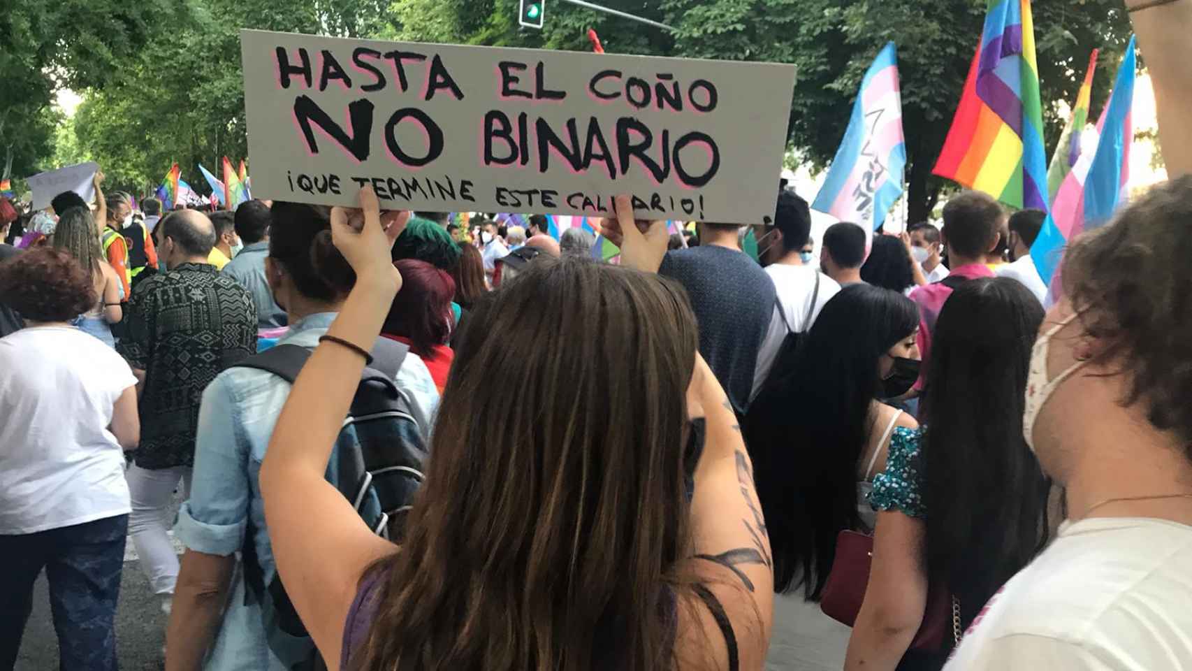 Una manifestante, justo detrás de la pancarta del PSOE.