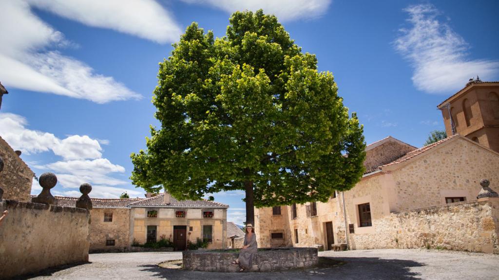 Samantha Vallejo Náger bajo un árbol que plantó su madre en Pedraza, junto a la iglesia.