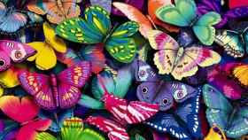 Variedad de mariposas