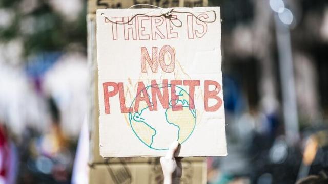 Manifestación contra el cambio climático.