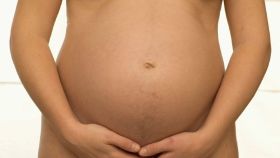 En el embarazo es cuando más aparecen las varices genitales.