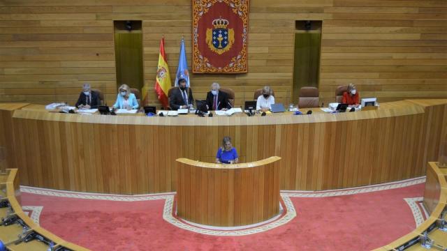 La valedora do Pobo, María Dolores Fernández Galiño, en el pleno de la Cámara gallega.