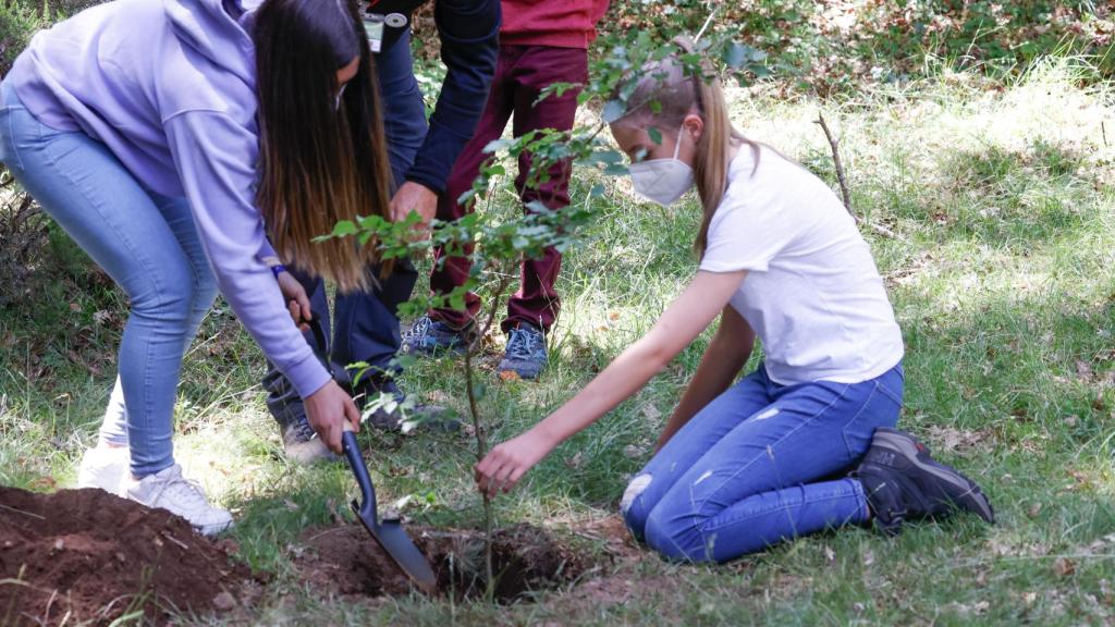 La princesa Leonor arrodillada en el suelo plantando un árbol.