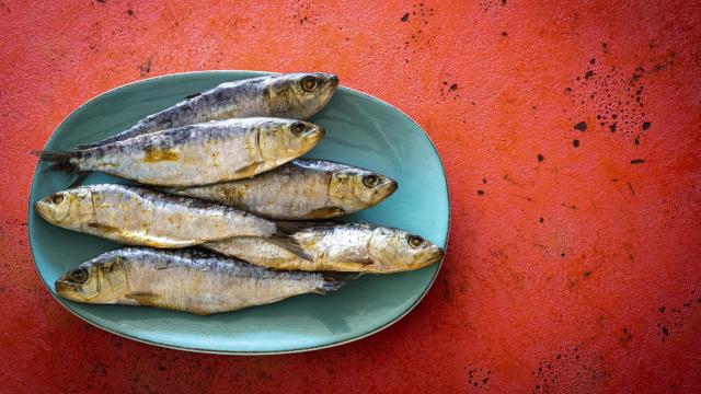 Imagen de archivo de sardinas.