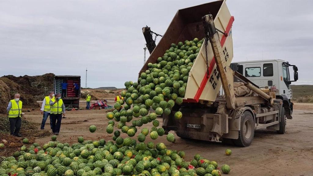 Productores de sandía tirando producto en Almería