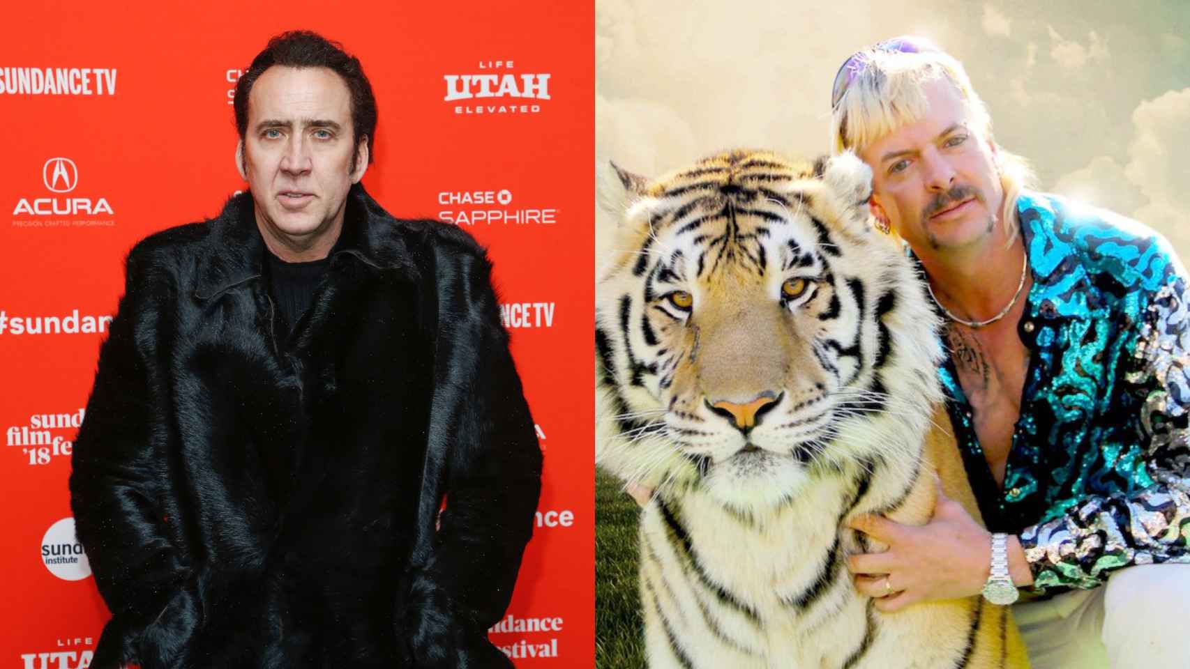 Nicolas Cage ya no será Joe Exotic para Amazon.