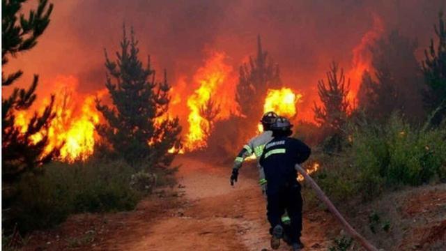 Incendio forestal