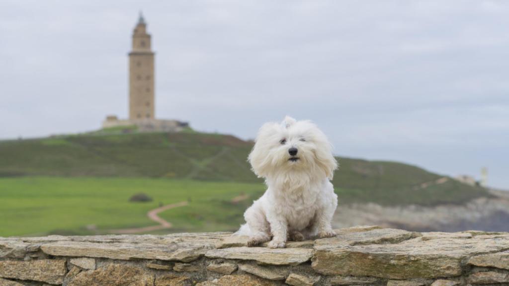 La Coruña