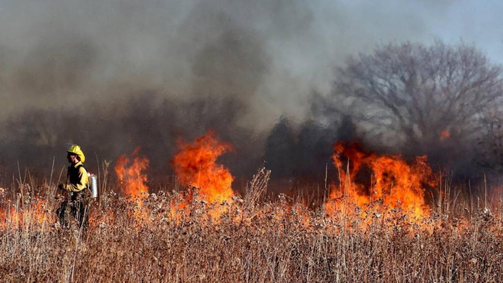 Imagen de archivo de un incendio forestal.