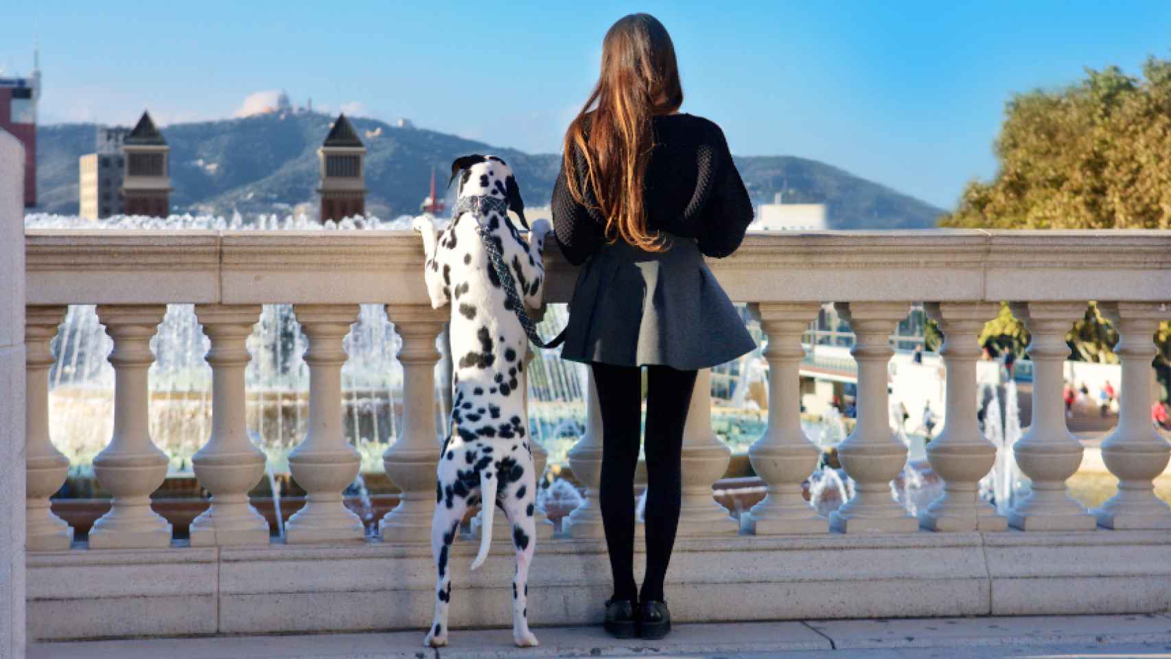 Los 10 mejores destinos para viajar con tu mascota por España
