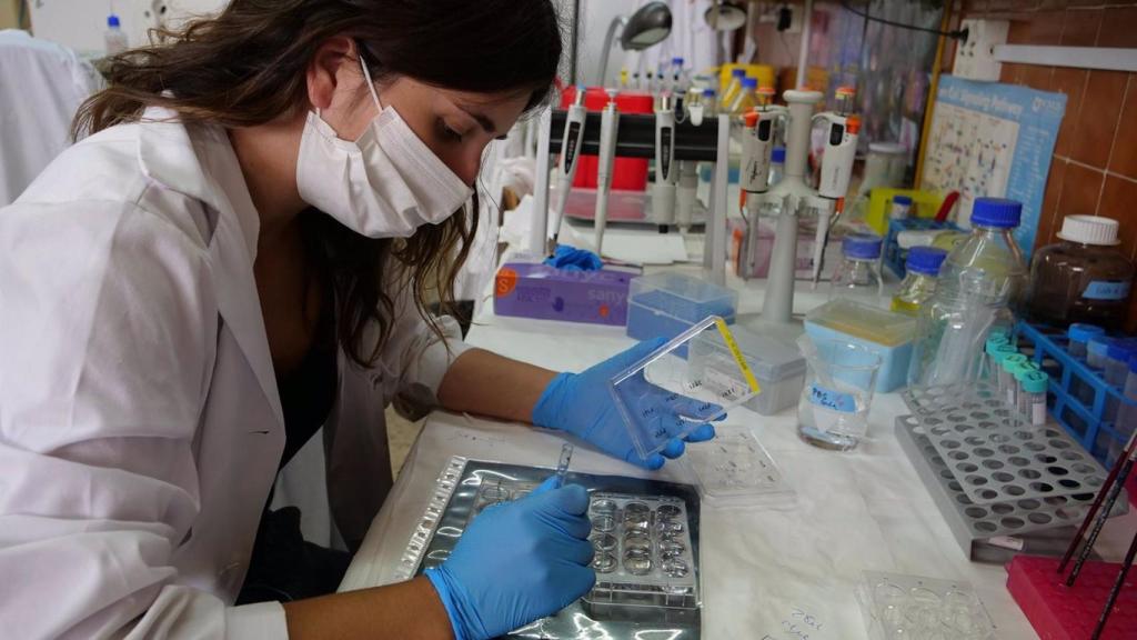 Una investigadora de la Universidad de Málaga.