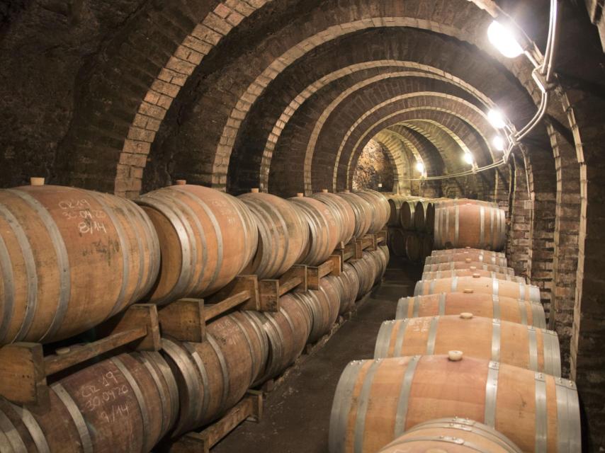 Bodega subterránea de la D.O. Arlanza.