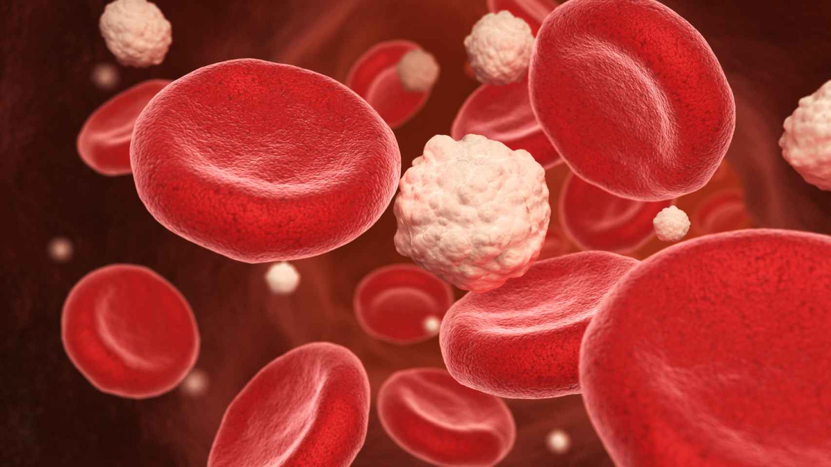Casi la mitad de la sangre está conformada por glóbulos rojos.