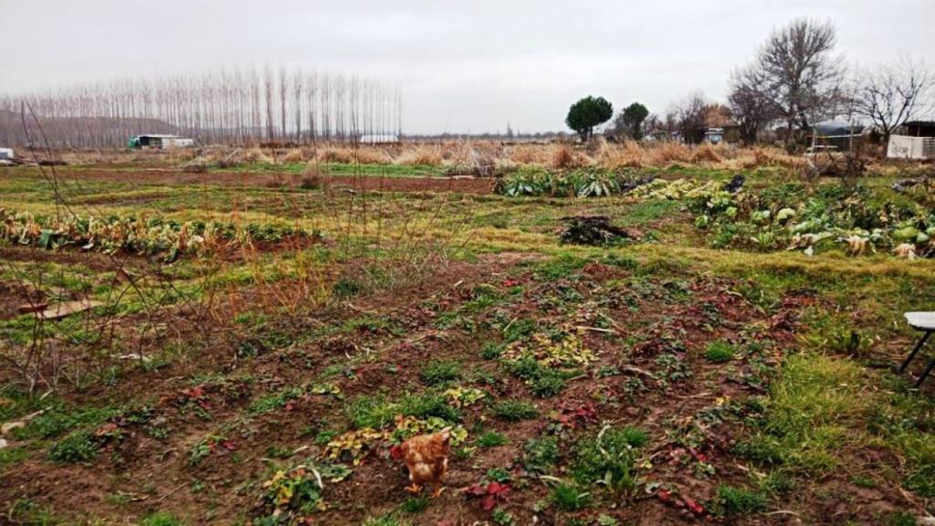 Malestar en Fontanar por la nueva ordenanza de los huertos municipales