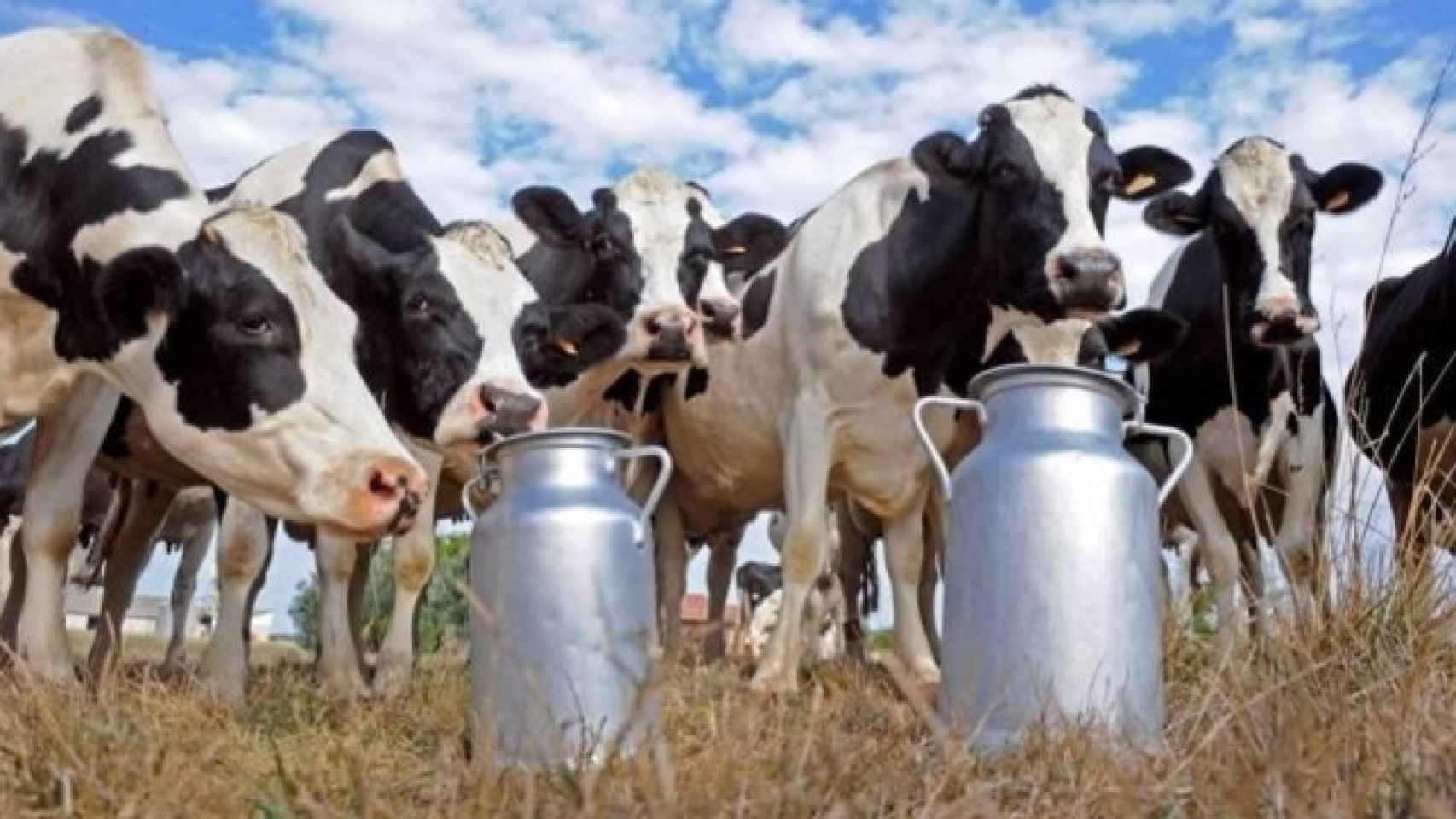 Los productores de leche, indignados porque los precios en origen están por los suelos