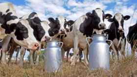 Los productores de leche, indignados porque los precios en origen están por los suelos