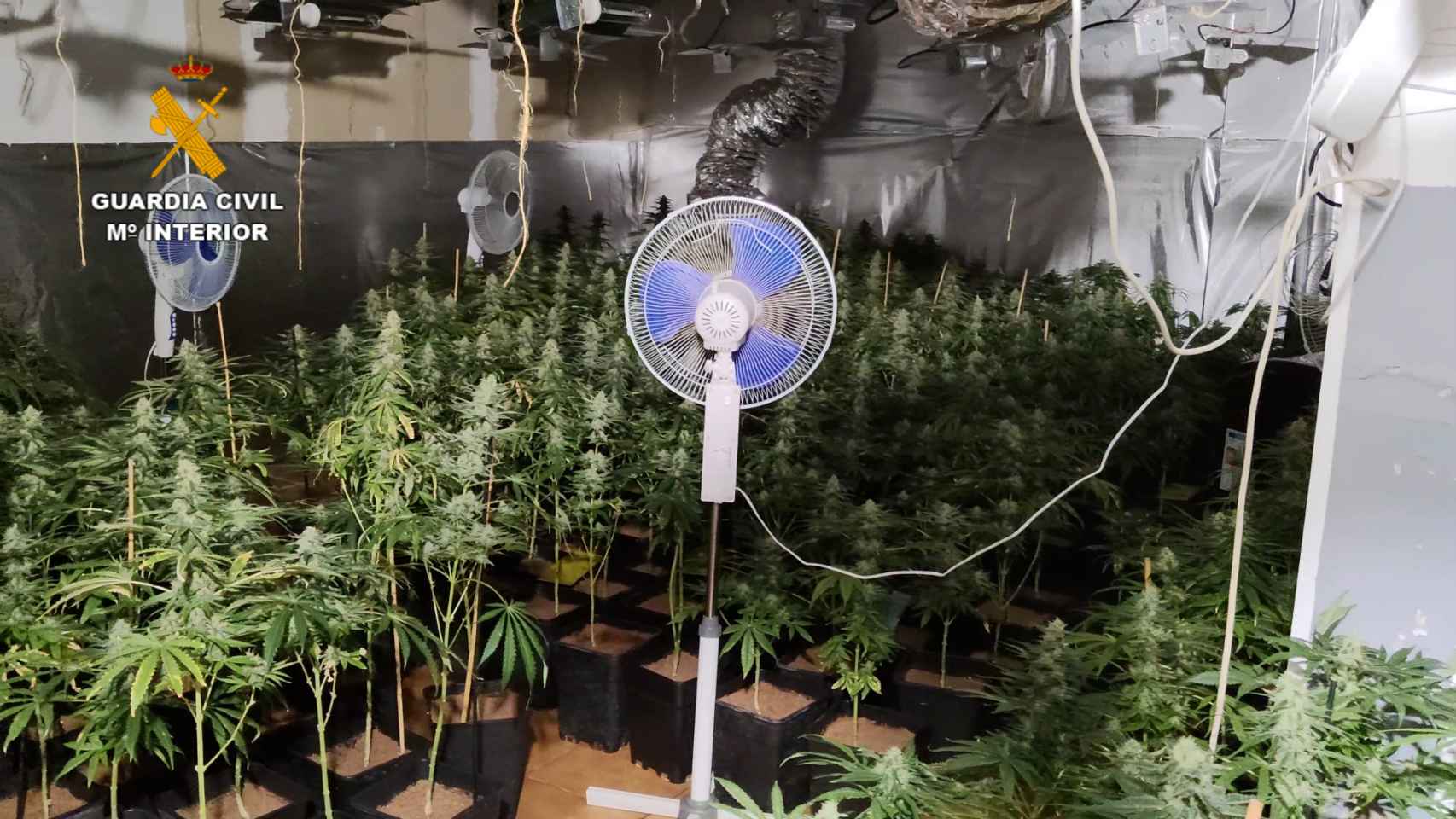 perfecto montaje indoor para el cultivo de marihuana