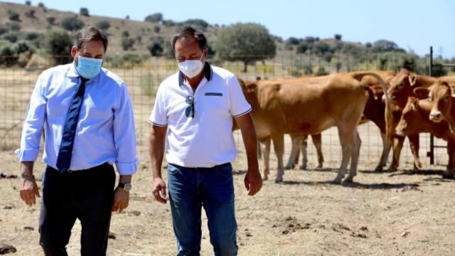 Paco Núñez, este miércoles en la localidad toledana de Pepino