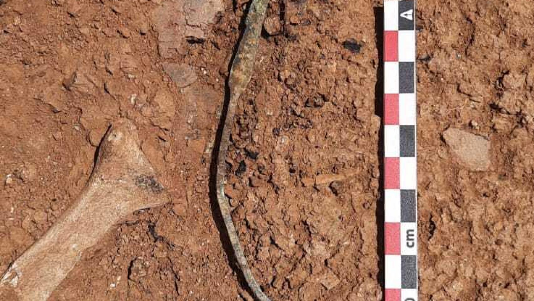Esta sonda espátula era parte del instrumental quirúrgico romano encontrado en Son Catlar.