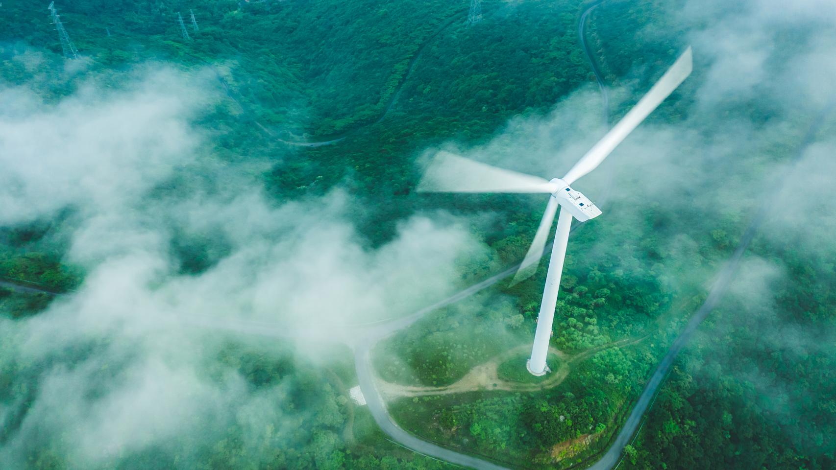 En 2020 el Día Día de la Sobrecapacidad de la Tierra fue el 22 de agosto. Este año, el 29 de julio.