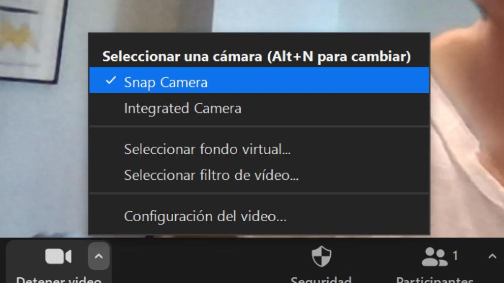 Zoom videollamada