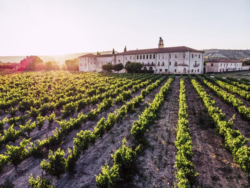 Atardecer en Abadia Retuerta LeDomaine.