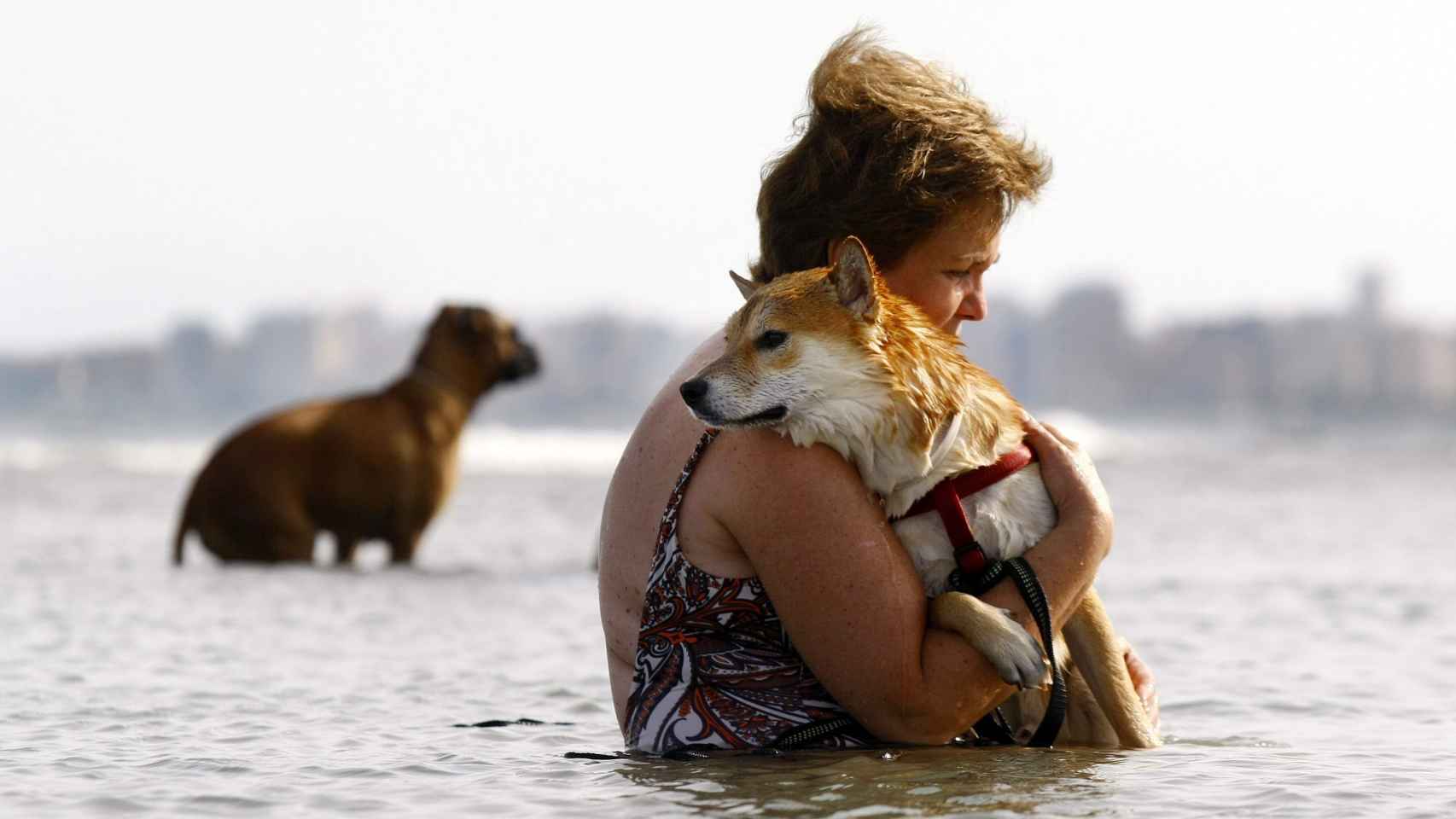 Una mujer abraza a su perro en el mar.