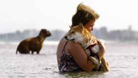 Una mujer abraza a su perro en el mar.