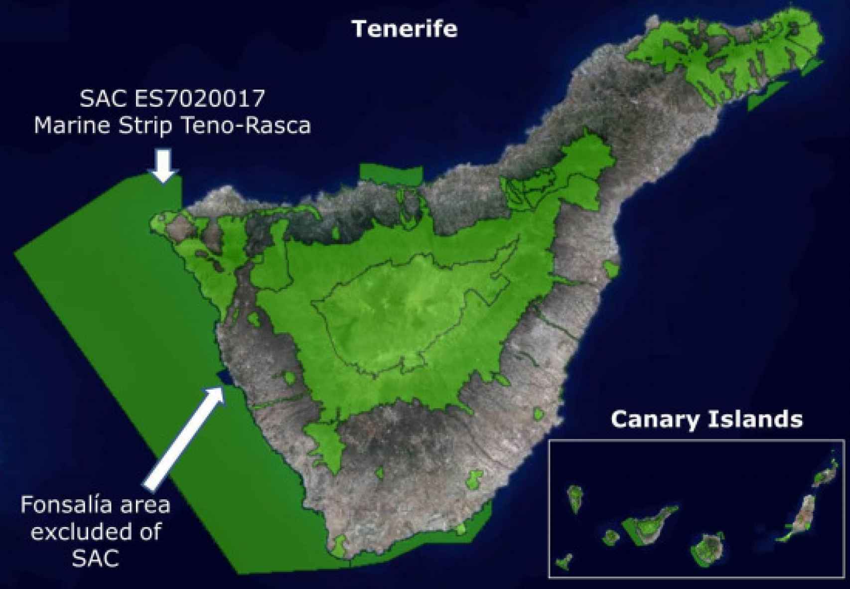 La Franja Marina Teno-Rasca, Zona de Especial Conservación (ZEC).