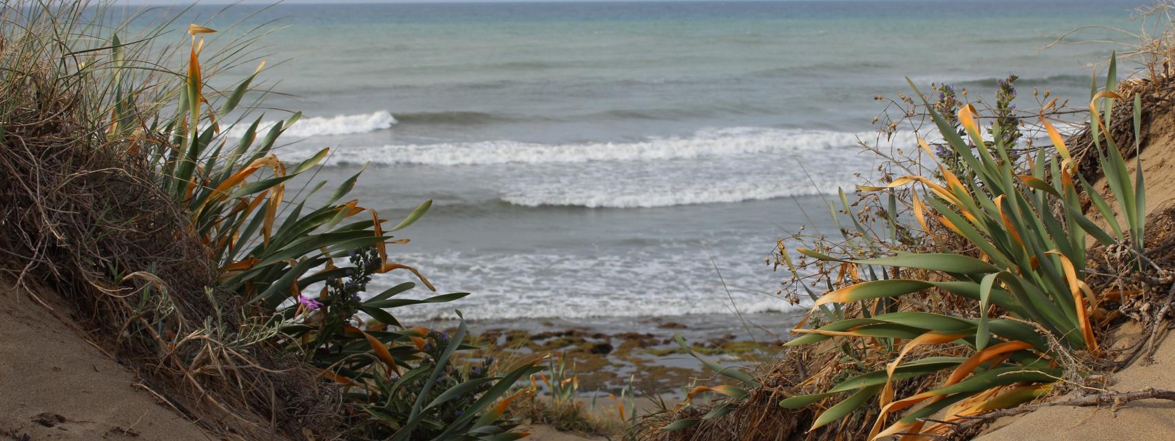 Playas nudistas de Málaga: sonría al pajarito