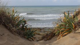 La playa de Cabopino en Marbella aúna naturaleza y naturismo en una cala de gran belleza.
