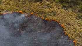 Incendio forestal en Brasil a vista de dron.