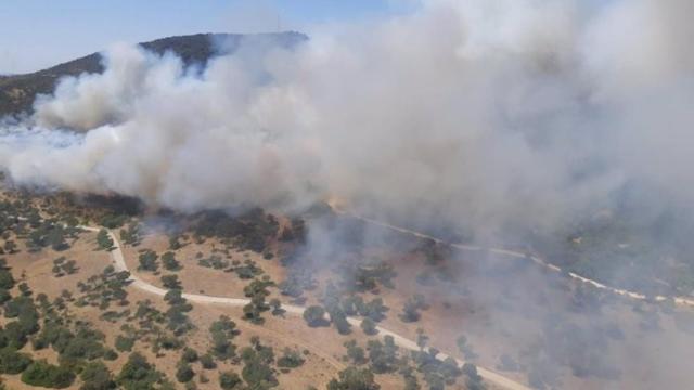 Incendio en Alcalá de los Gazules (Cádiz).