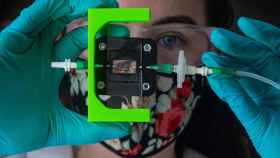 Implante impreso en 3D capaz de detectar y suministrar insuila