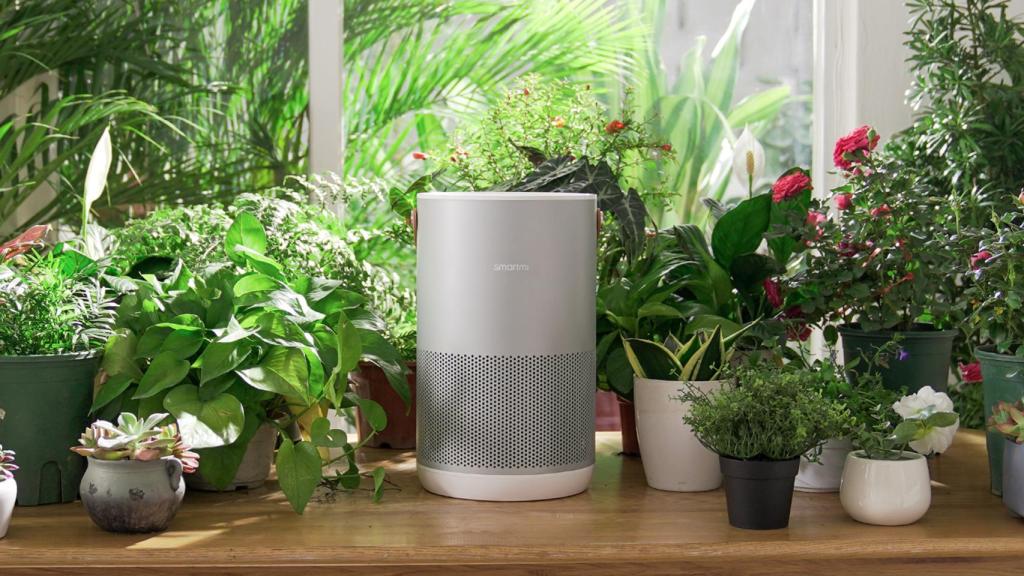 Air Purifier P1