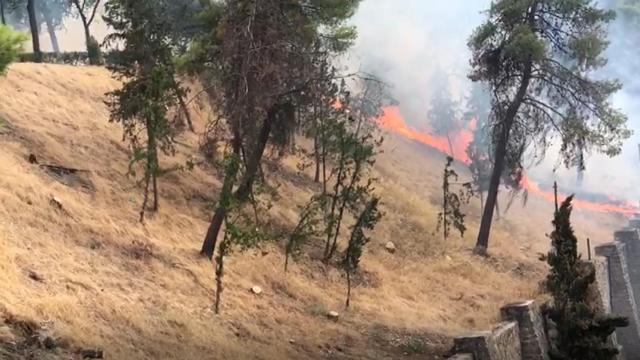 Susto en el parque de La Vega de Toledo por un nuevo incendio