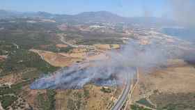 Incendio forestal en Manilva.