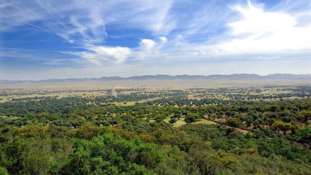 Valle de Alcudia. Foto: EDCM