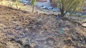 Los bomberos de Toledo sofocan un nuevo incendio registrado en el Parque de la Vega